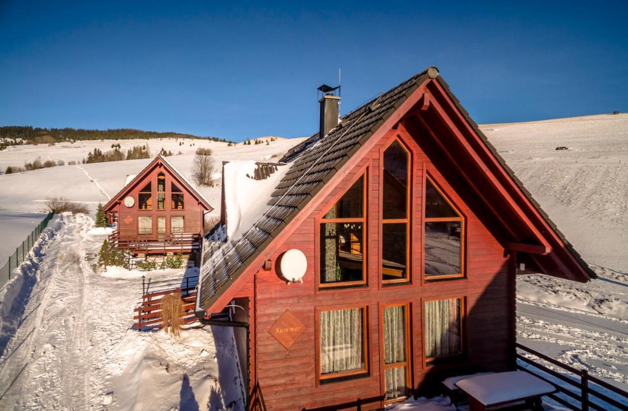 Winter & Summer - Chalets Ždiar 外观 照片